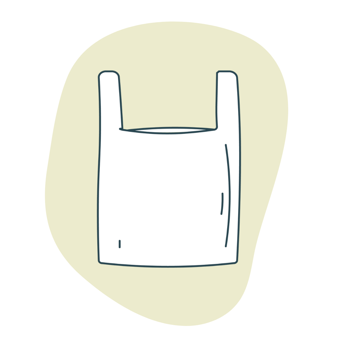 Illustration of eco-friendly retail bags, on our product page.