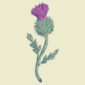 Icon representing our essential material, Cardoon Thistle, displayed on our company page.